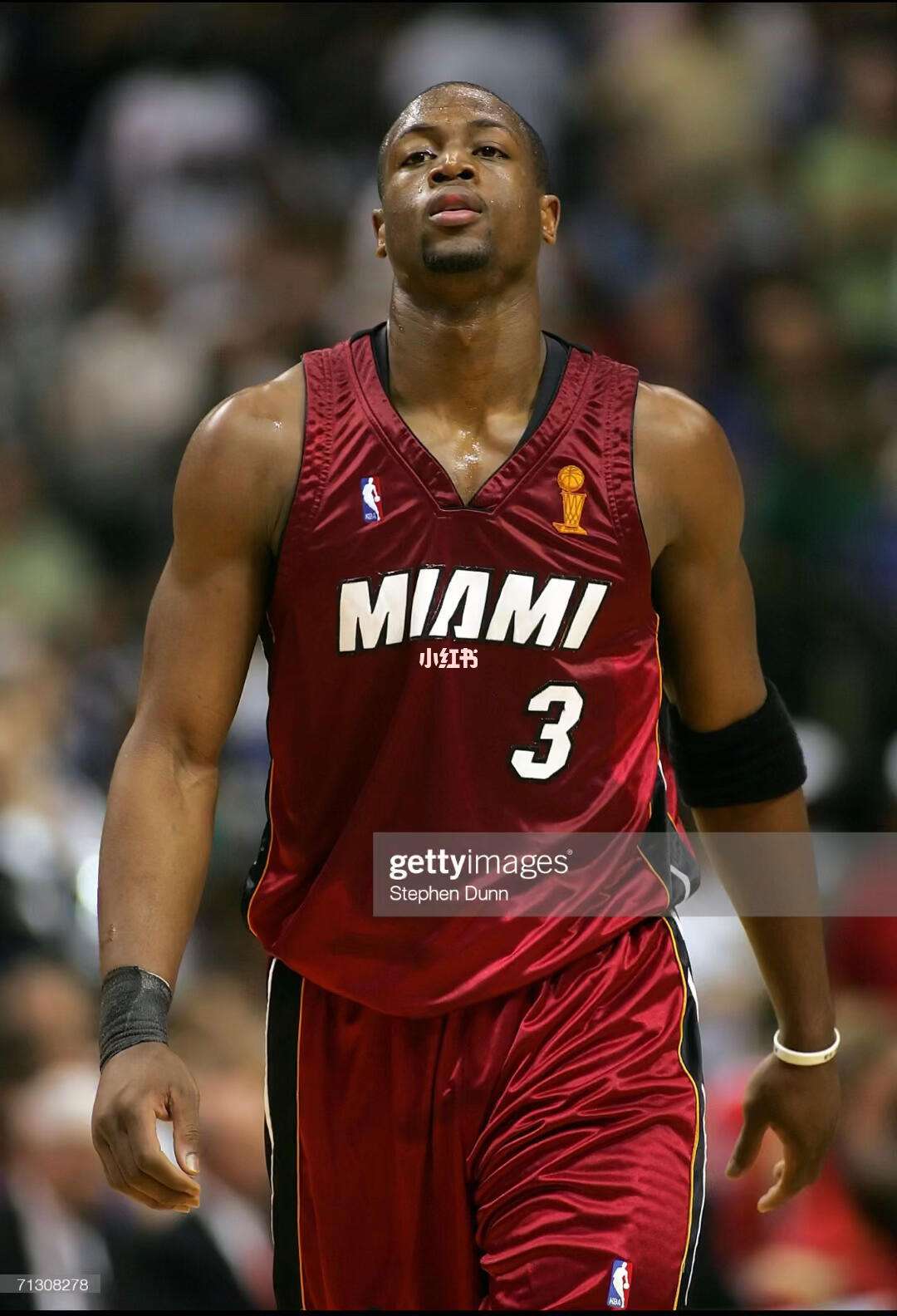 本文主题聚 本文主题聚