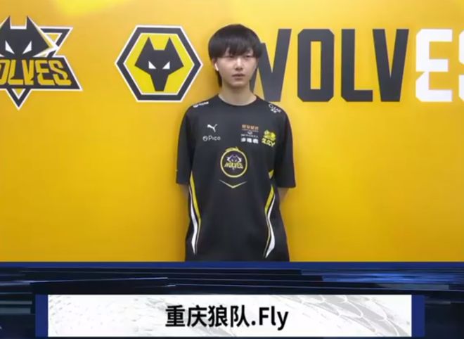 本文聚焦